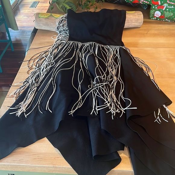 Zara Fringe fit and flair dress - Picture 1 of 10
